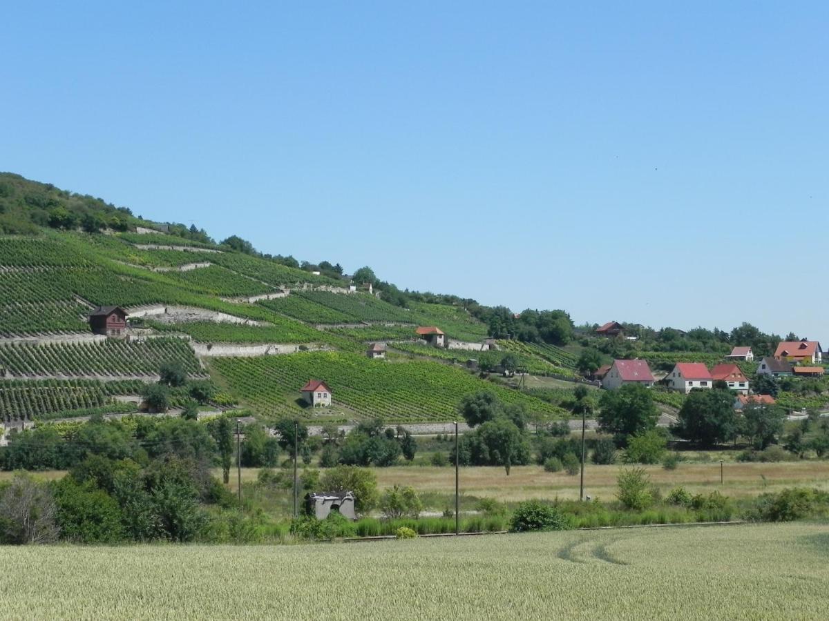 Ferienwohnungen Am Unstrutwehr Freyburg Exterior photo