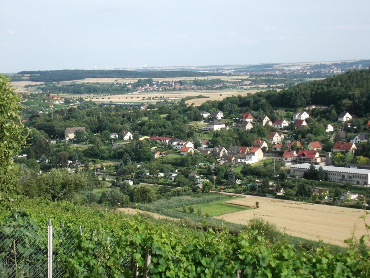 Ferienwohnungen Am Unstrutwehr Freyburg Exterior photo