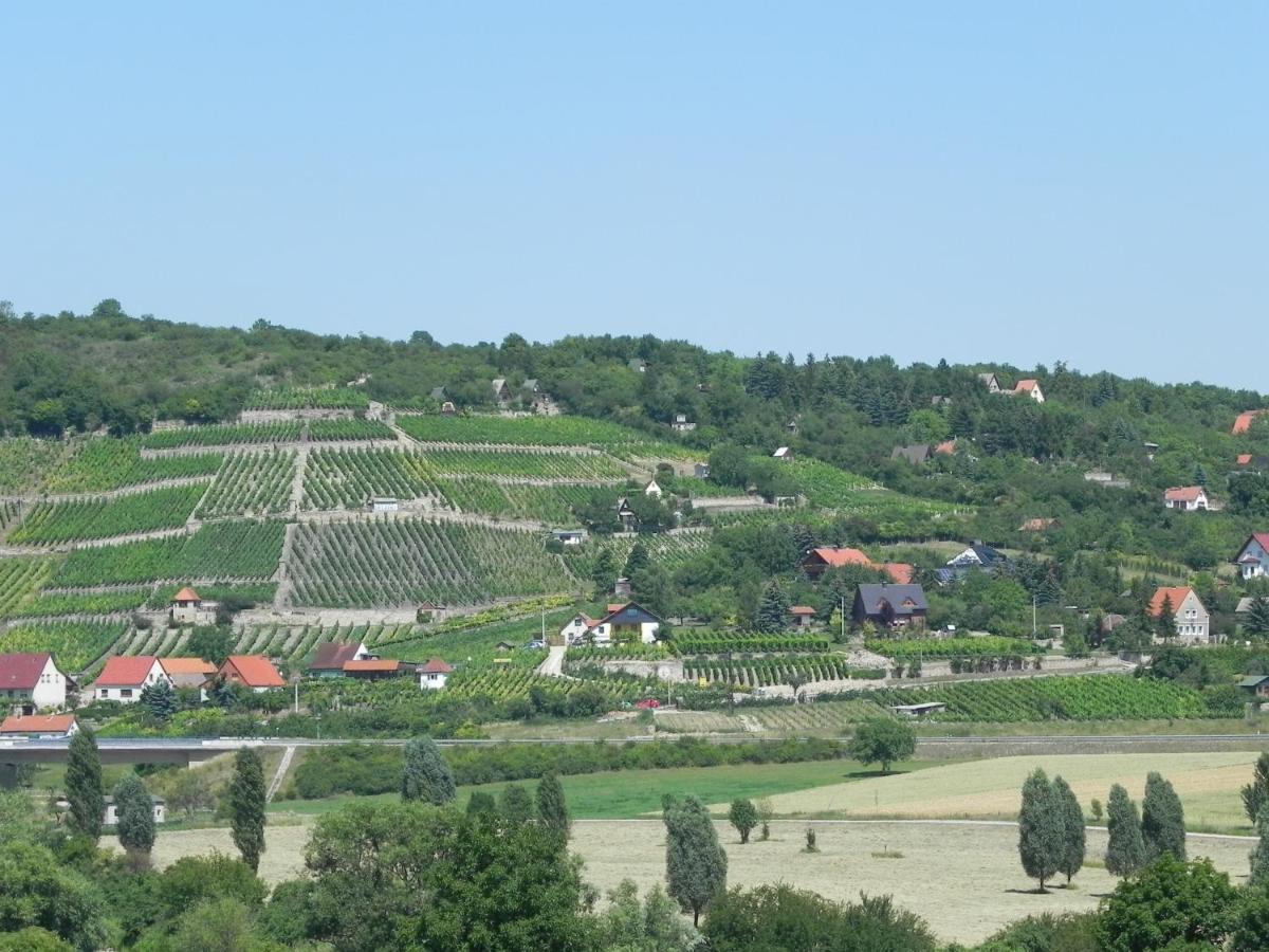 Ferienwohnungen Am Unstrutwehr Freyburg Exterior photo